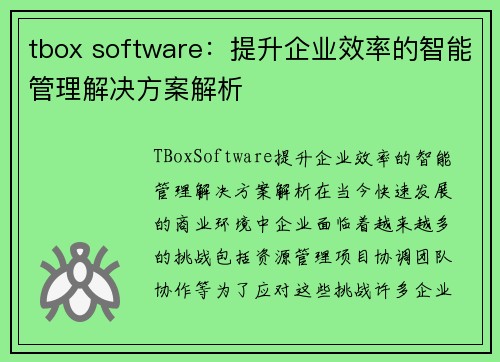 tbox software：提升企业效率的智能管理解决方案解析